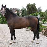 Milord