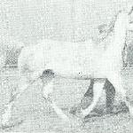 Naganka