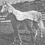 Naganka