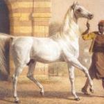 Bairactar or. ar.