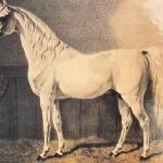 Bairactar or. ar.