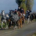 Jamka - oraz J-Campetota w zaprzęgu, Ujście Jezuickie HUBERTUS 2007r.