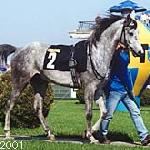 Amarant - Amarant 2001