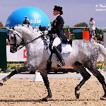 Ekwador / H-Ekwador - DCI Sopot 2010<br />&copy; Katarzyna Boryna