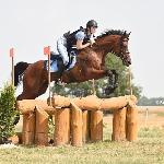Łania