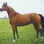 Marieta - Marieta 1998