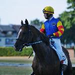 Decybel I - Sopockie wyścigi 2014<br />&copy; Baza Koni