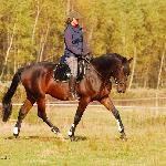 Alcander<br />&copy; Oliwia Chmielewska