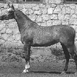 Argolida<br />&copy; W. Pawłowski