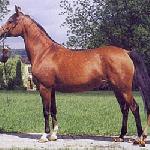Oriana