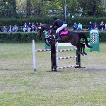 Romina