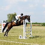 Dobrawa - Festiwal Jeździecki Baborówko 2014<br />&copy; Baza Koni