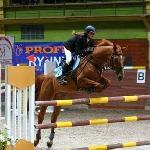 Artedeusz