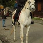 Dolores