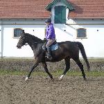 Rota<br /><i>SK Racot, 21 lutego 2015</i>