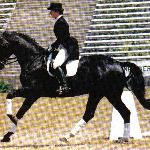 Saint Cloud