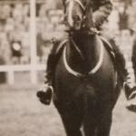 Mylord / Milord - Amsterdam 1928<br /><i>Jeździec: K. Gzowski</i>