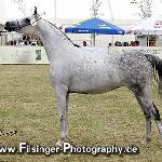 Andromeda - Andromeda 2008<br />&copy; Irina Filsinger