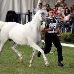 Andaluzja