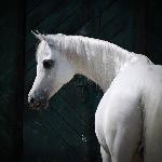 Andaluzja<br />&copy; Stuart Vesty