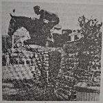 Zbój IV ex. Bagnet - Por.Roman Pohorecki na Zbóju IV na zawodach w Nicei w 1938 r.