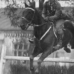 Picador ex Maciek