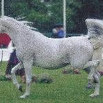 Empressa