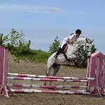Celimena<br />&copy; www.stajniawielkiewierzno.pl<br /><i>SKJ Revel, Gutkowo 23.05.2015</i>