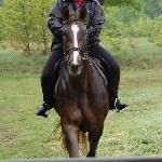 Belissima<br /><i>SK Racot</i>