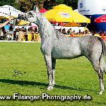 Piramida - Piramida 2006<br />&copy; Irina Filsinger