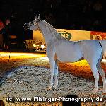 Perga - Perga 2012<br />&copy; Irina Filsinger
