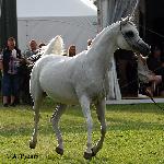 Palanga - Palanga 2016<br />&copy; Anna Pyzara-Nakoniechnaia