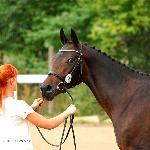 Eldona<br />&copy; Oliwia Chmielewska