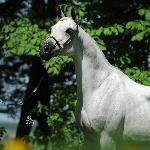 Emkira - Emkira 2009<br />&copy; Stuart Vesty