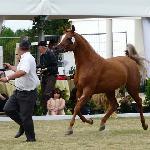 Ekina - Ekina 2008