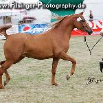 Ekina - Ekina 2008<br />&copy; Irina Filsinger