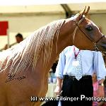Ekina - Ekina 2005<br />&copy; Irina Filsinger