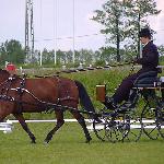 Lewada - CAI-A Gajewniki 18-20.05.2007<br />&copy; faraa