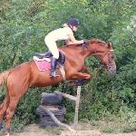Ildan