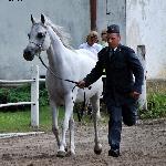 Papusza - sierpień 2011<br />&copy; Anna Pyzara-Nakoniechnaia