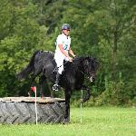 Grom
