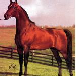 Garnizon