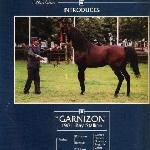Garnizon