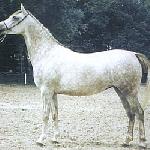 Gospoda