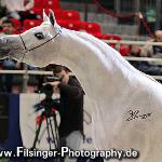 El Dorada - The 2007 WORLD Championships