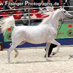 El Dorada - The 2007 WORLD Championships