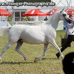 Endorra - Endorra 2011<br />&copy; Irina Filsinger