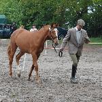 Atea - Premiowanie Gniezno 2010