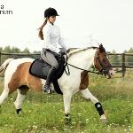 Westa - Westa w wieku 11 lat.<br />&copy; Stajnia Jasminum