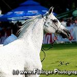 Entuza - Entuza 2006<br />&copy; Irina Filsinger